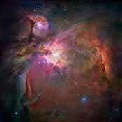 M42 La Gran Nebulosa De Orión