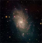 M33